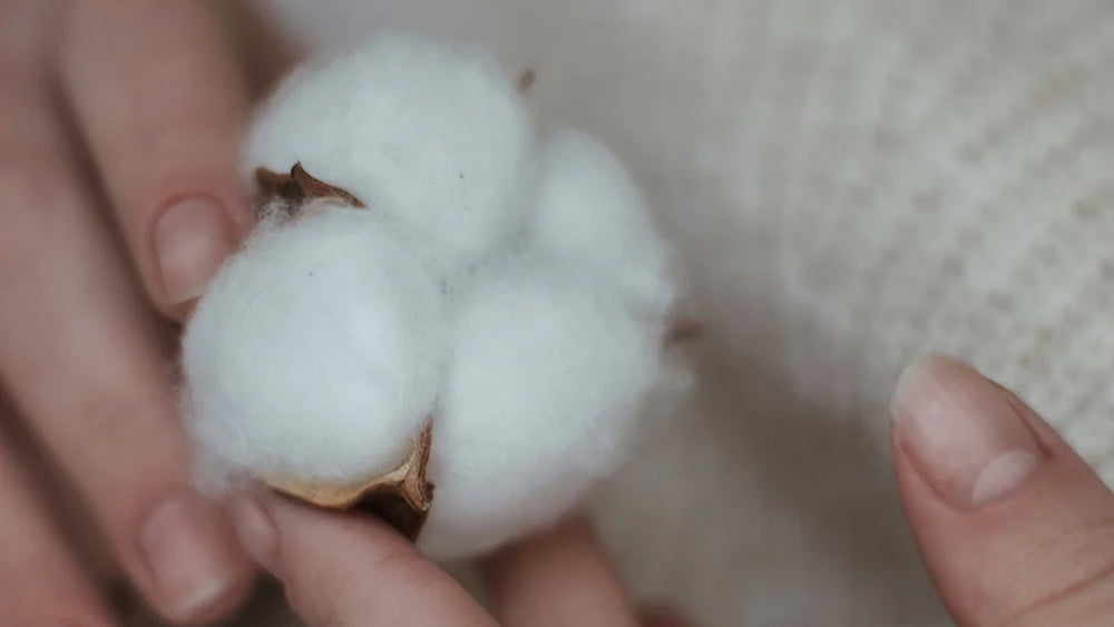 What's the Difference Between Organic Cotton and Regular Cotton?