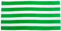 no-logo Carmel Towel Company Cabana Stripe Velour Beach Towel-Accessories-Carmel Towel-Kelly-Thread Logic
