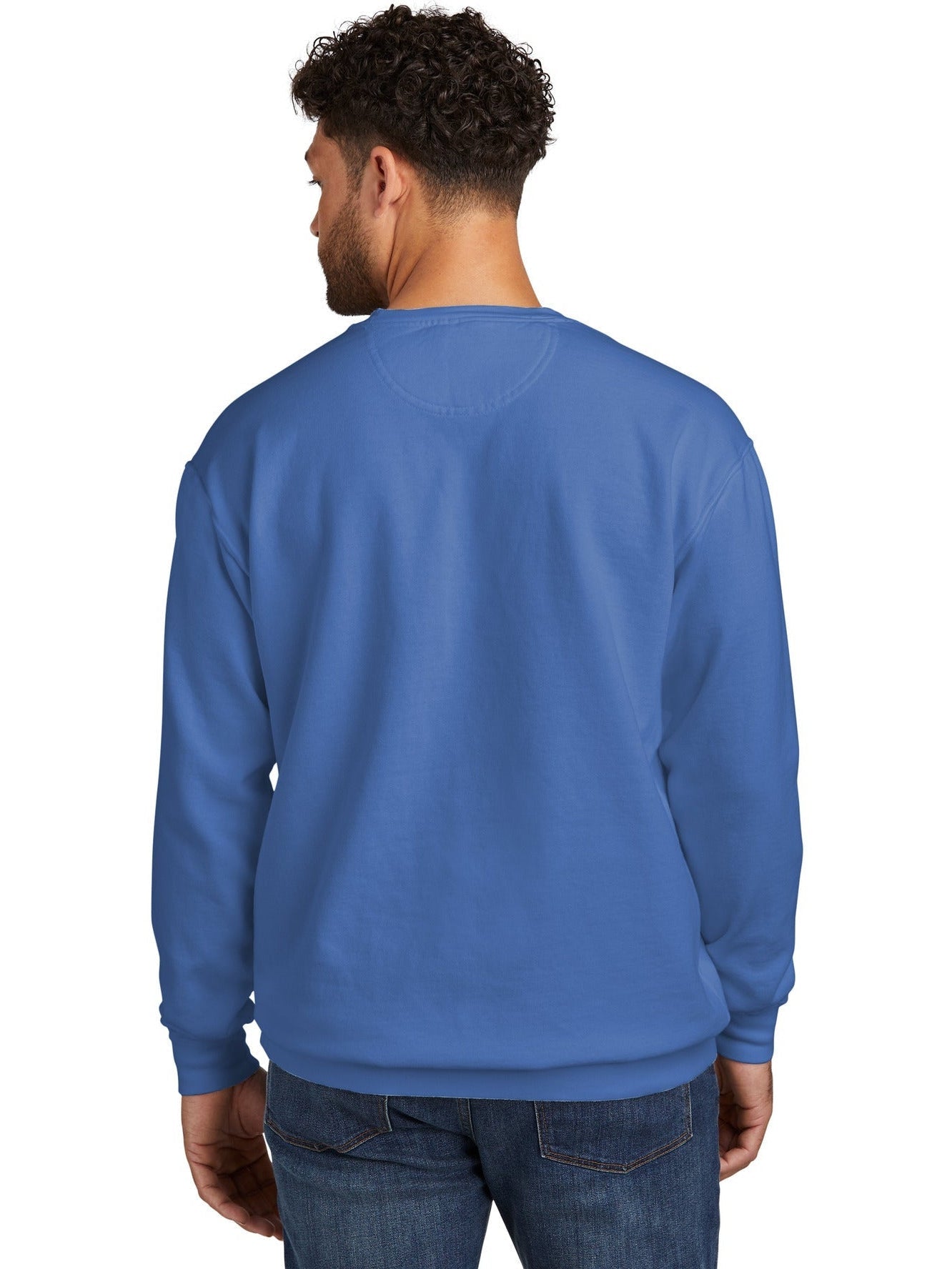 no-logo Comfort Colors Ring Spun Crewneck Sweatshirt-Regular-Comfort Colors-Thread Logic