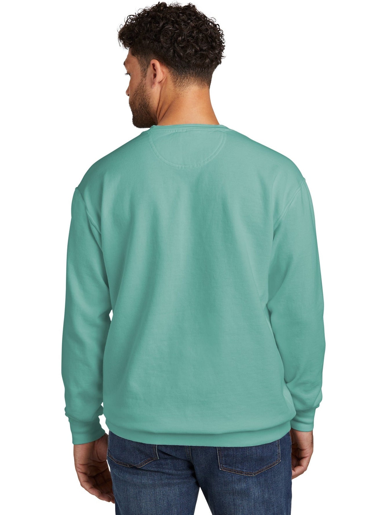 no-logo Comfort Colors Ring Spun Crewneck Sweatshirt-Regular-Comfort Colors-Thread Logic