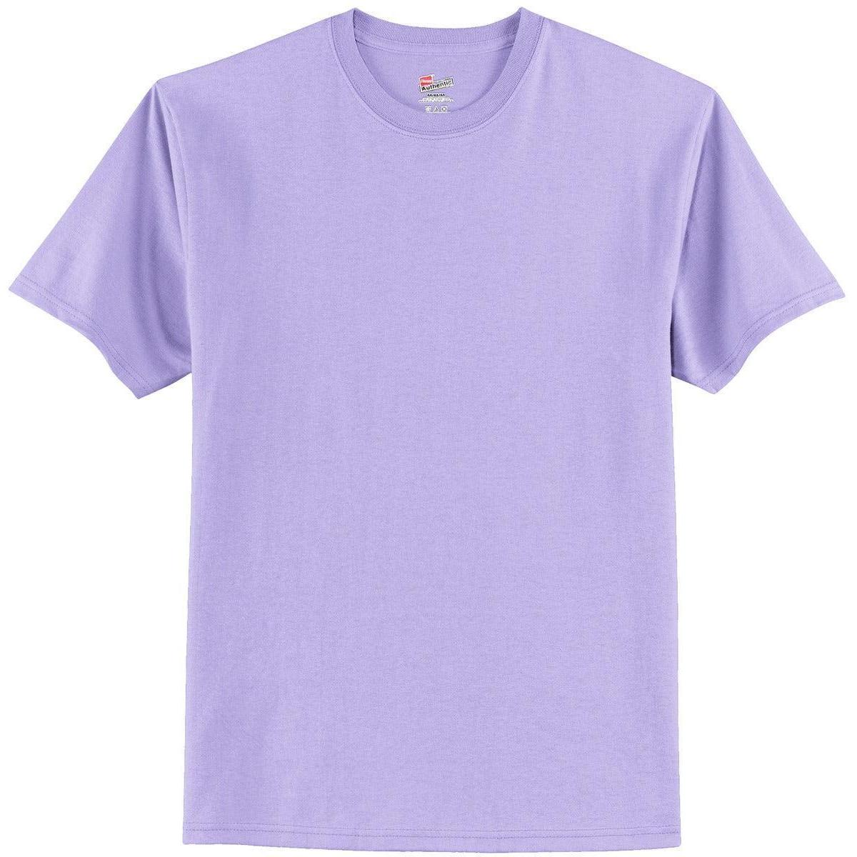 no-logo Hanes Authentic 100% Cotton T-Shirt