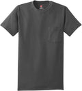 Hanes Authentic Cotton T-Shirt with Pocket