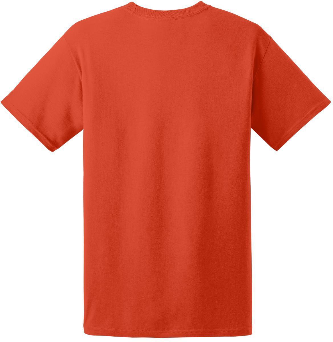 no-logo Hanes EcoSmart 50/50 Cotton/Poly T-Shirt-Regular-Hanes-Thread Logic