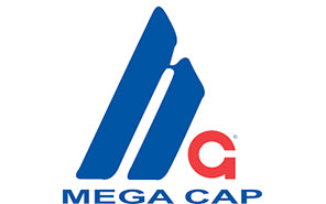 Mega Cap Custom Logo Embroidered Hats