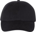 Champion Jersey Knit Dad's Cap