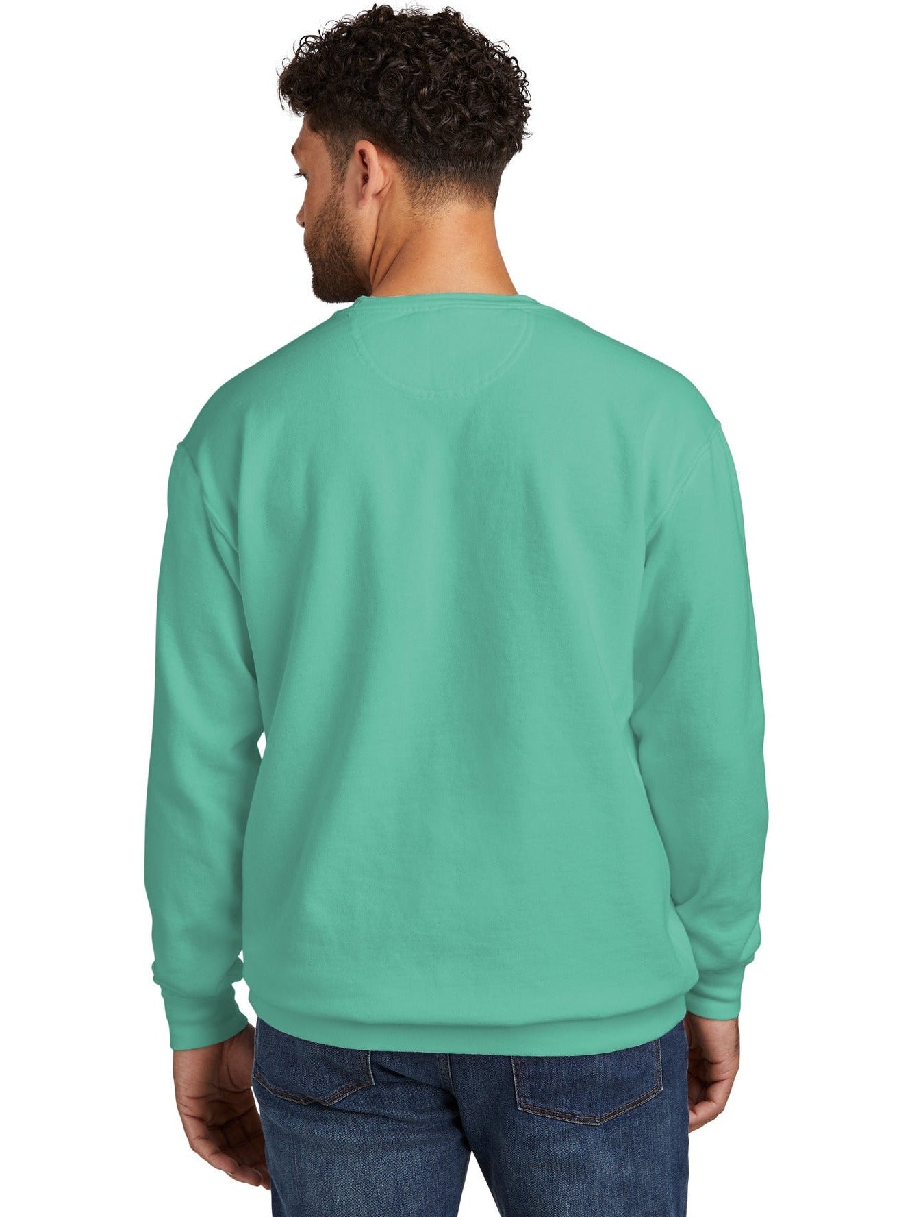 no-logo Comfort Colors Ring Spun Crewneck Sweatshirt-Regular-Comfort Colors-Thread Logic