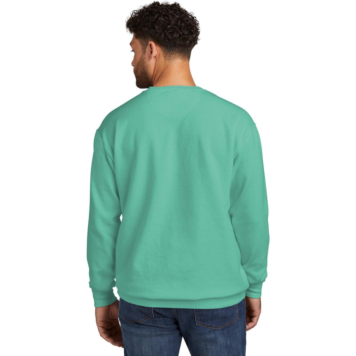 no-logo Comfort Colors Ring Spun Crewneck Sweatshirt-Regular-Comfort Colors-Thread Logic