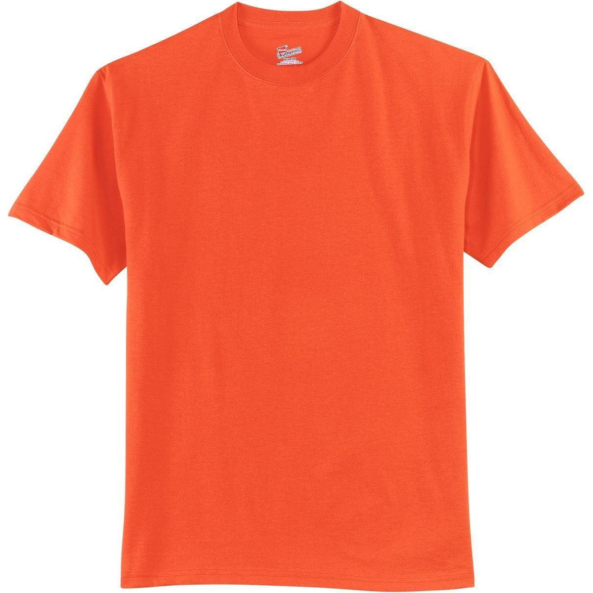 no-logo Hanes Authentic 100% Cotton T-Shirt
