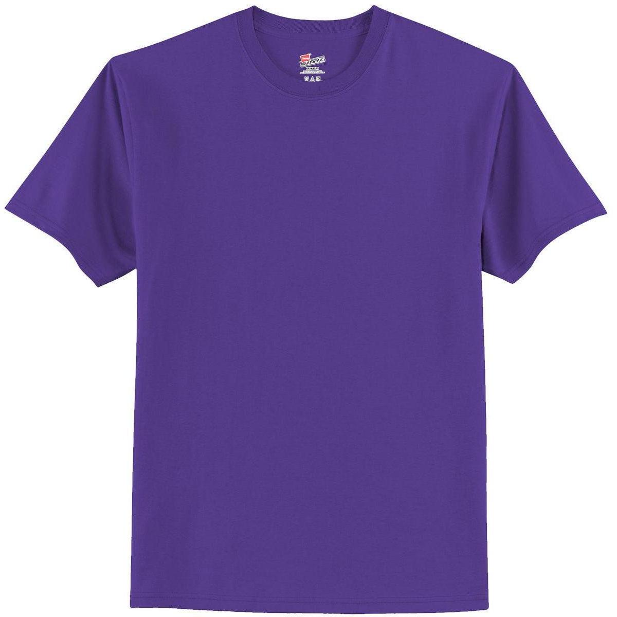 no-logo Hanes Authentic 100% Cotton T-Shirt