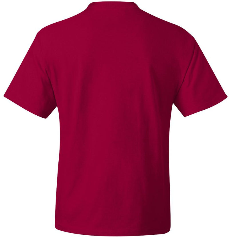 no-logo Hanes Beefy-T Tall Short Sleeve T-Shirt-Men's T Shirts-Hanes-Thread Logic