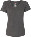 Hanes Ladies Premium Triblend V-Neck Short Sleeve T-Shirt-Ladies T Shirts-Hanes-Slate Triblend-S-Thread Logic